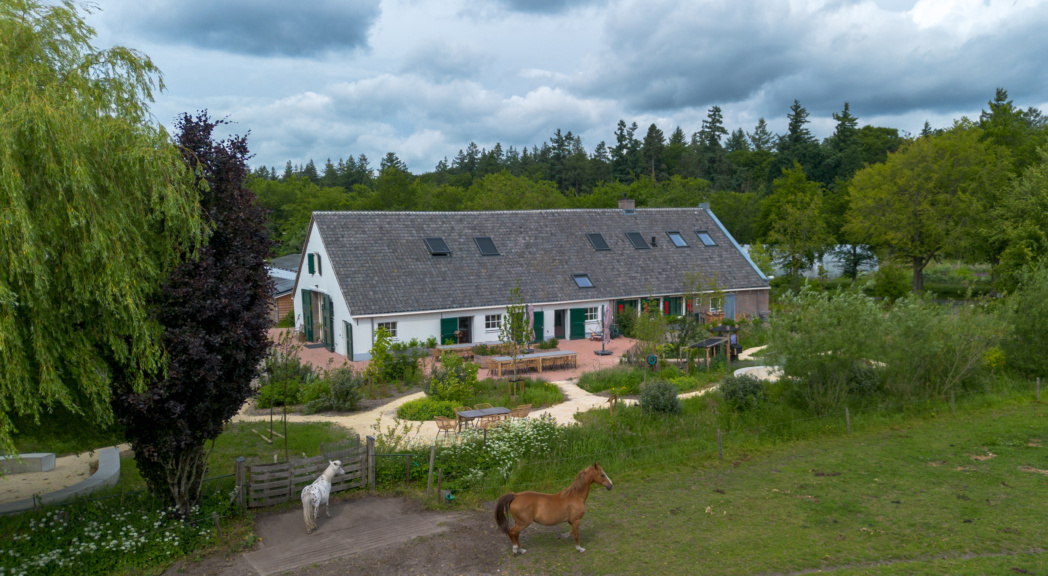 Transformatie Willemshoeve Soest - Paarden in de omgeving - TEAMWBC