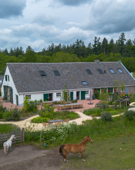 Transformatie Willemshoeve Soest - Paarden in de omgeving - TEAMWBC