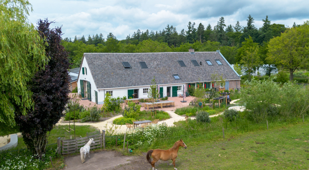 Transformatie Willemshoeve Soest - Paarden in de omgeving - TEAMWBC