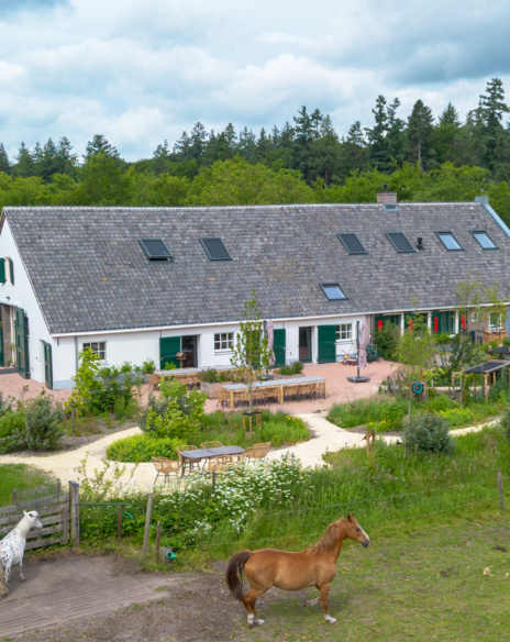 Transformatie Willemshoeve Soest - Paarden in de omgeving - TEAMWBC
