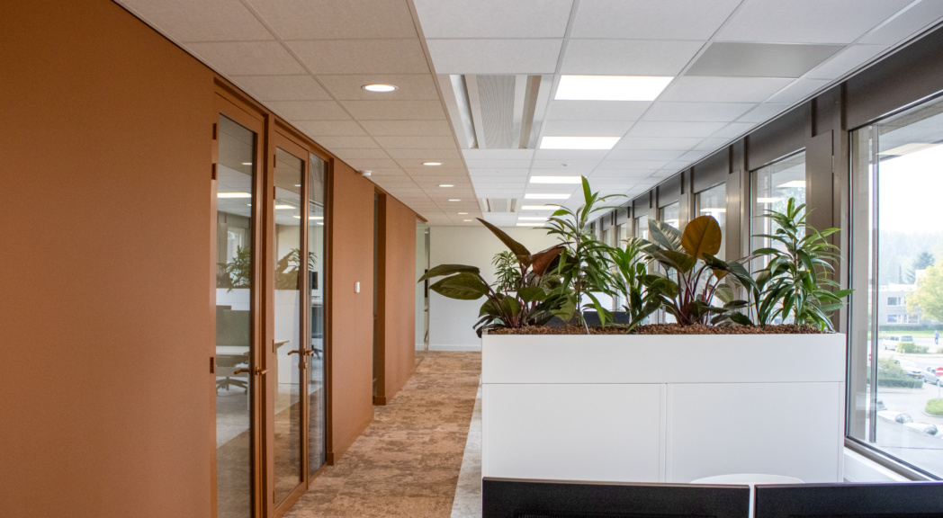 Kantoor seriematig getransformeerd door TEAMWBC