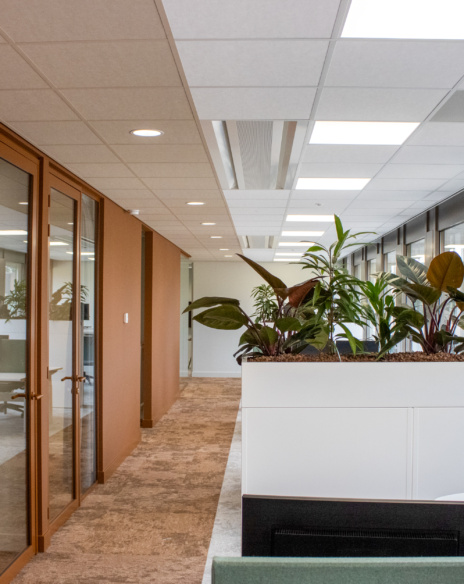 Kantoor seriematig getransformeerd door TEAMWBC