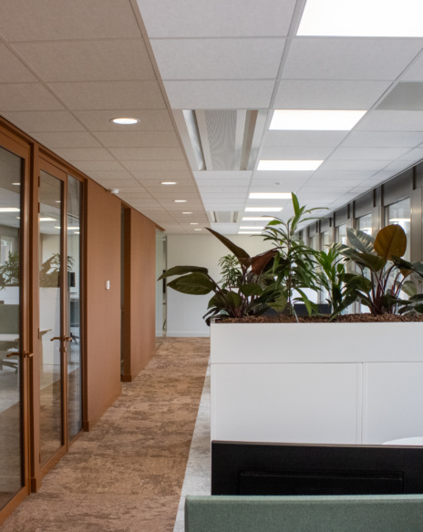 Door TEAMWBC getransformeerd modern kantoor met herkenbare uitstraling