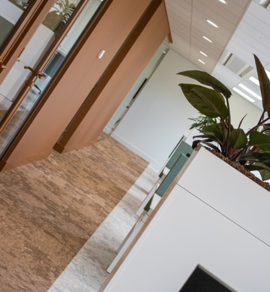 Door TEAMWBC getransformeerd modern kantoor met werkplekken